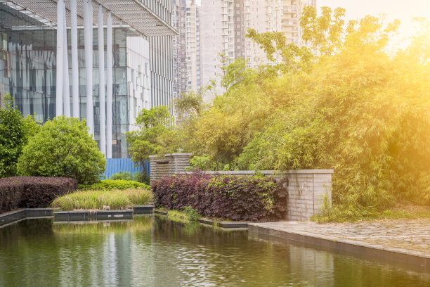 绿色城市公园图片下载