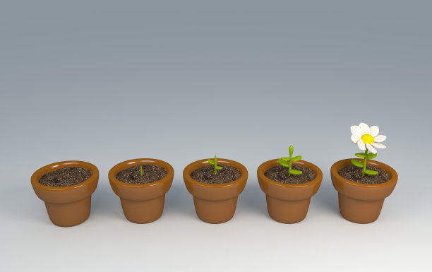 五步成长图片下载