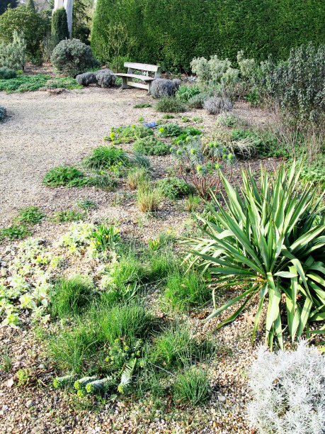干燥的花园图片下载
