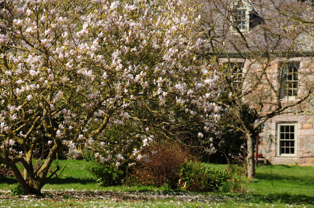 春天的花园,球衣。图片下载