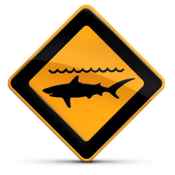 鲨鱼攻击图片下载