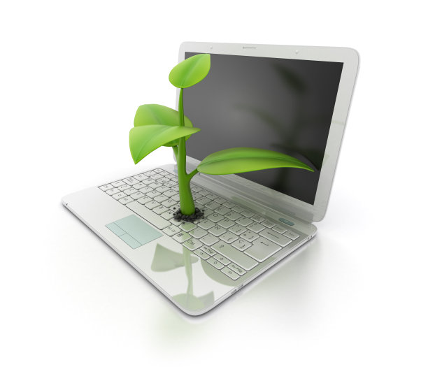 笔记本电脑与植物图片下载