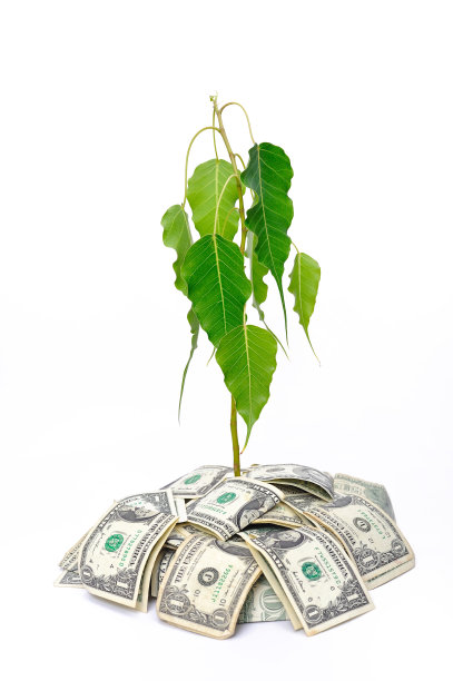 稳定的财富增长图片下载