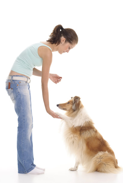 女孩和狗在训练图片下载