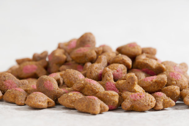 一堆猫粮的特写照片图片下载