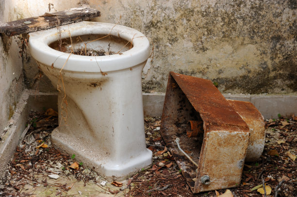 毁了厕所图片下载