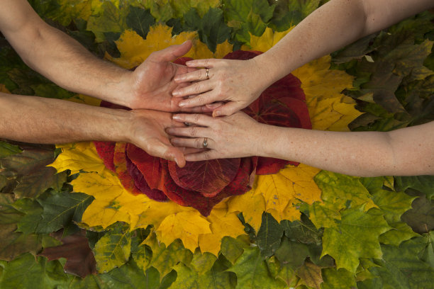 手放在一堆叶子上。图片下载