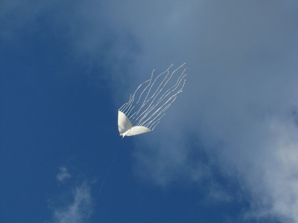 白色的风筝图片下载