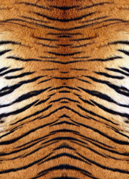 老虎的皮图片下载