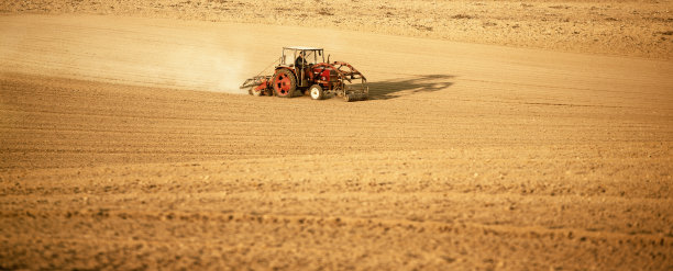 用拖拉机在玉米地里翻耕播种图片下载