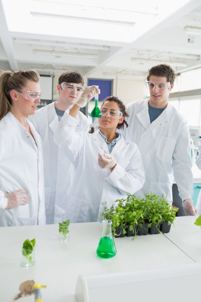 四个学生在做植物研究图片下载