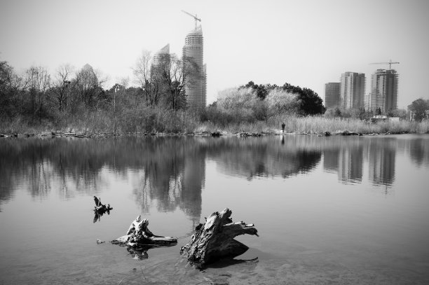 雾蒙蒙的春天的早晨图片下载