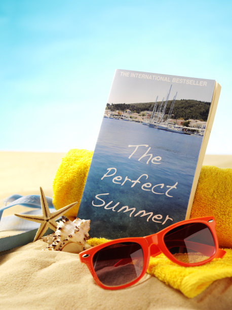 《海滩上的完美夏天》的书名图片下载