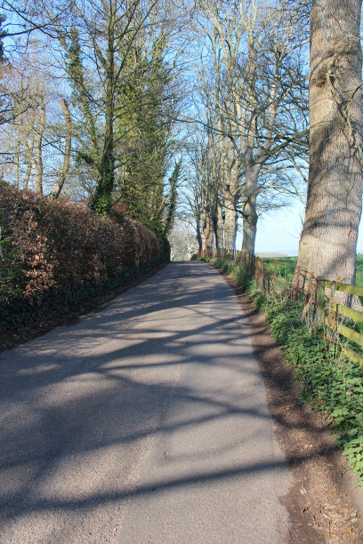 乡村的小路上图片下载