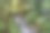 罗斯福溪图片下载