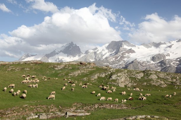 法国阿尔卑斯山的牧场图片下载