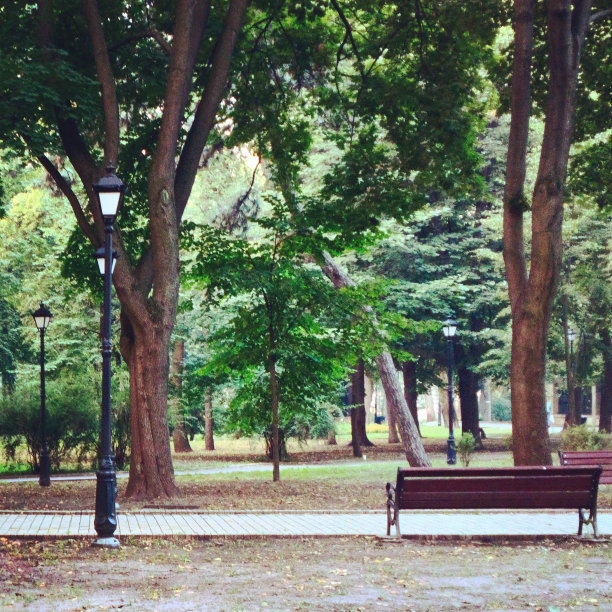 马里因斯基公园图片下载