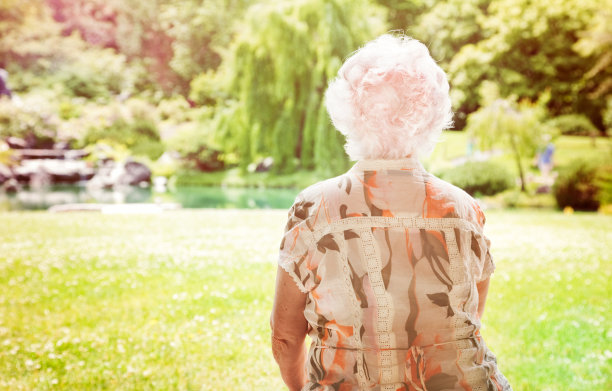 老女人坐在公园的后视图图片下载