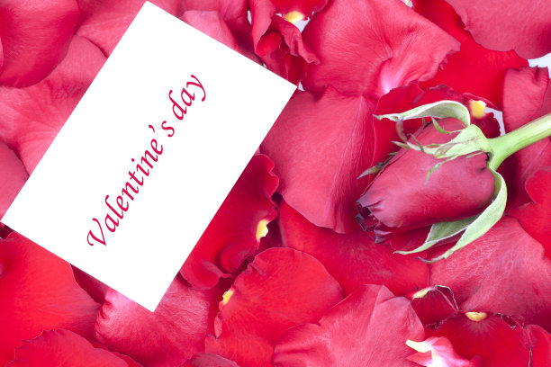 贴上情人节的标签图片下载