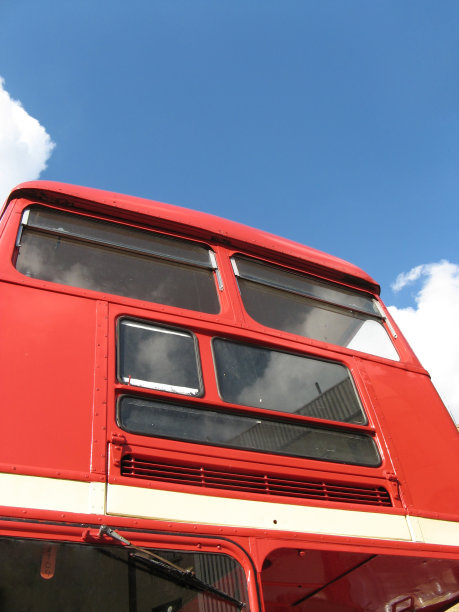 “马路主人”上路了图片下载