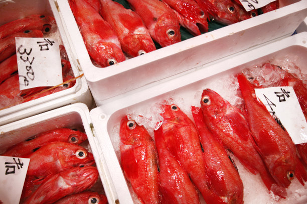 新鲜的鱼图片下载