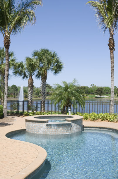 游泳池配有热水浴缸/水疗中心图片下载