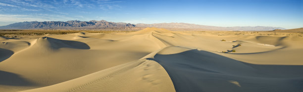 牧豆树平原沙丘死亡谷图片下载