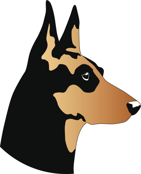 狗的头图片下载