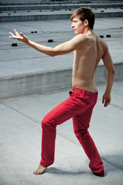 舞蹈家图片下载