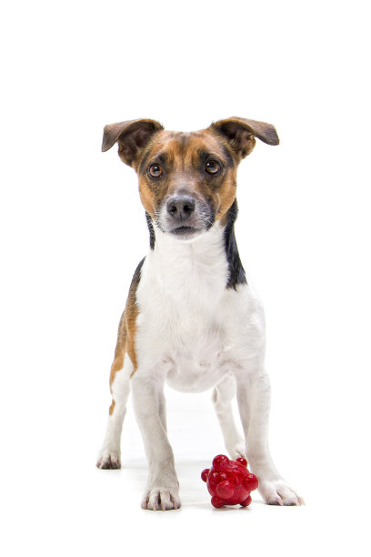 请和我一起玩……图片下载