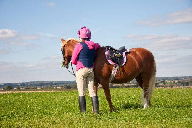 一个视图是什么?图片下载