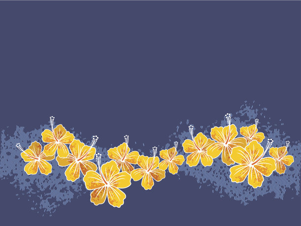 木槿背景图片下载