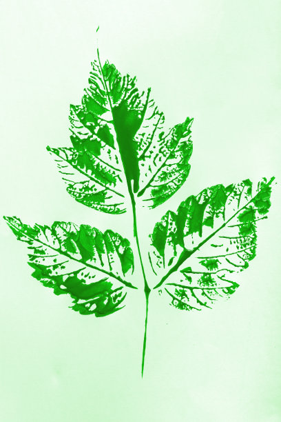 单枝三叶绿色印痕图片下载