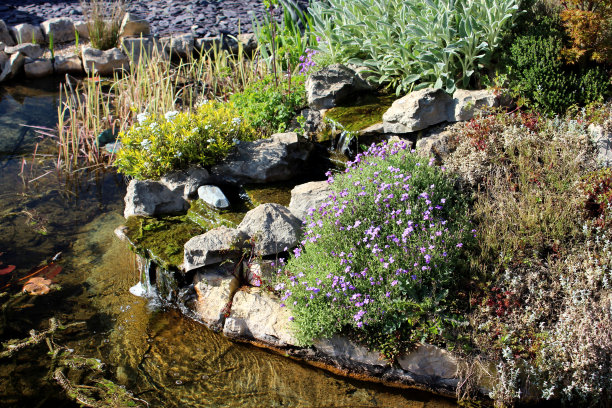 带瀑布和假山的庭院鱼塘图片图片下载