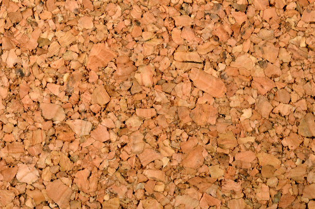 公告板(点击查看更多)图片下载