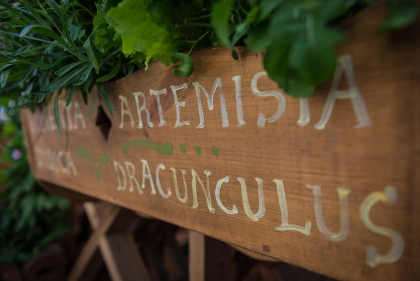 草药木制容器图片下载