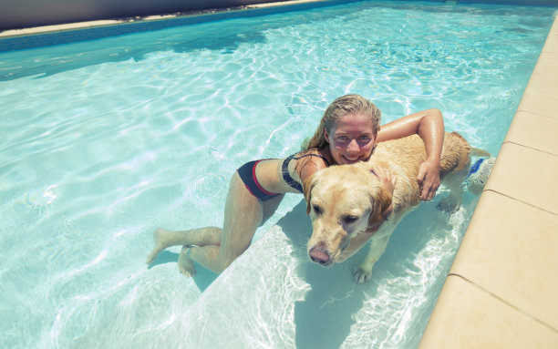 女孩和狗在游泳池里玩图片下载