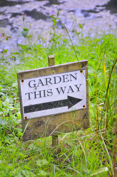 花园。图片下载