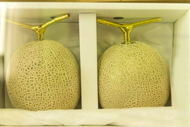 两个新鲜成熟的瓜图片下载