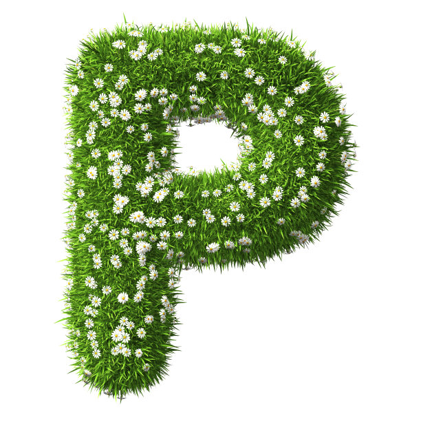 草字母P图片下载