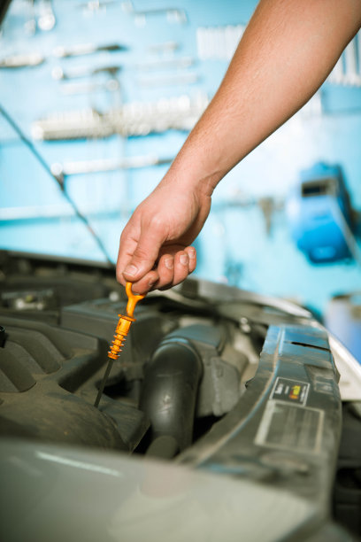 检查油图片下载