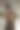 性感男人的剪影图片下载