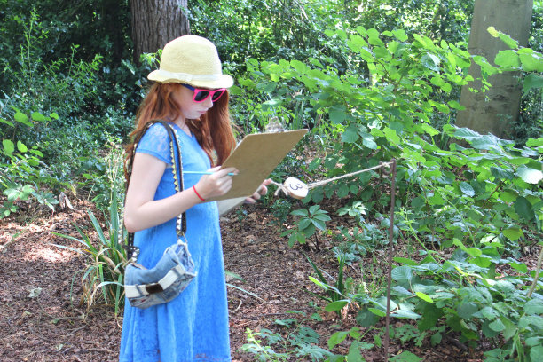 小女孩带着剪贴板参加自然小径/森林测验的图片图片下载