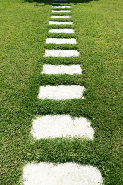 绿色后院的台阶图片下载