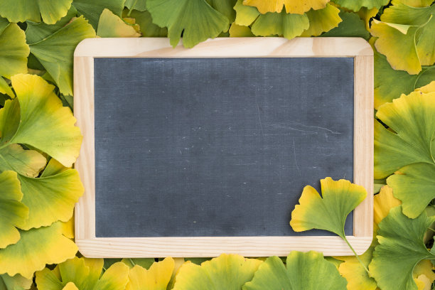 秋天的时间图片下载