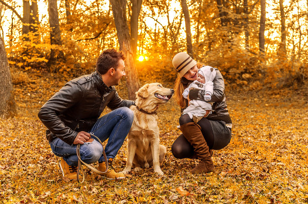秋日公园里快乐的一家人素材图片