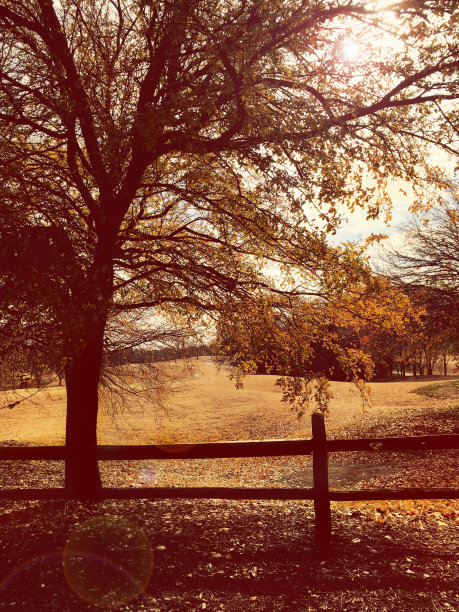 秋季高尔夫球场图片下载
