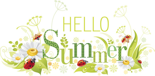 四季:夏天的横幅，瓢虫图片下载