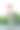 小女孩在后院蹦床上跳图片下载