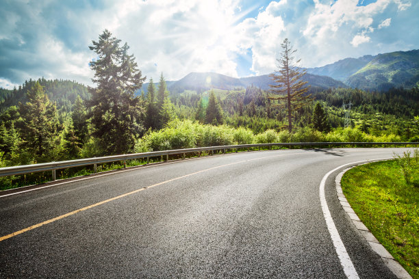 森林道路图片下载
